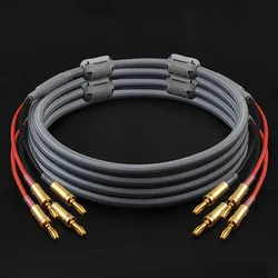 Hifi audio speaker line enthusiast 5N oxygen-free copper banana head Y pin plug-in amplifier main speaker cable