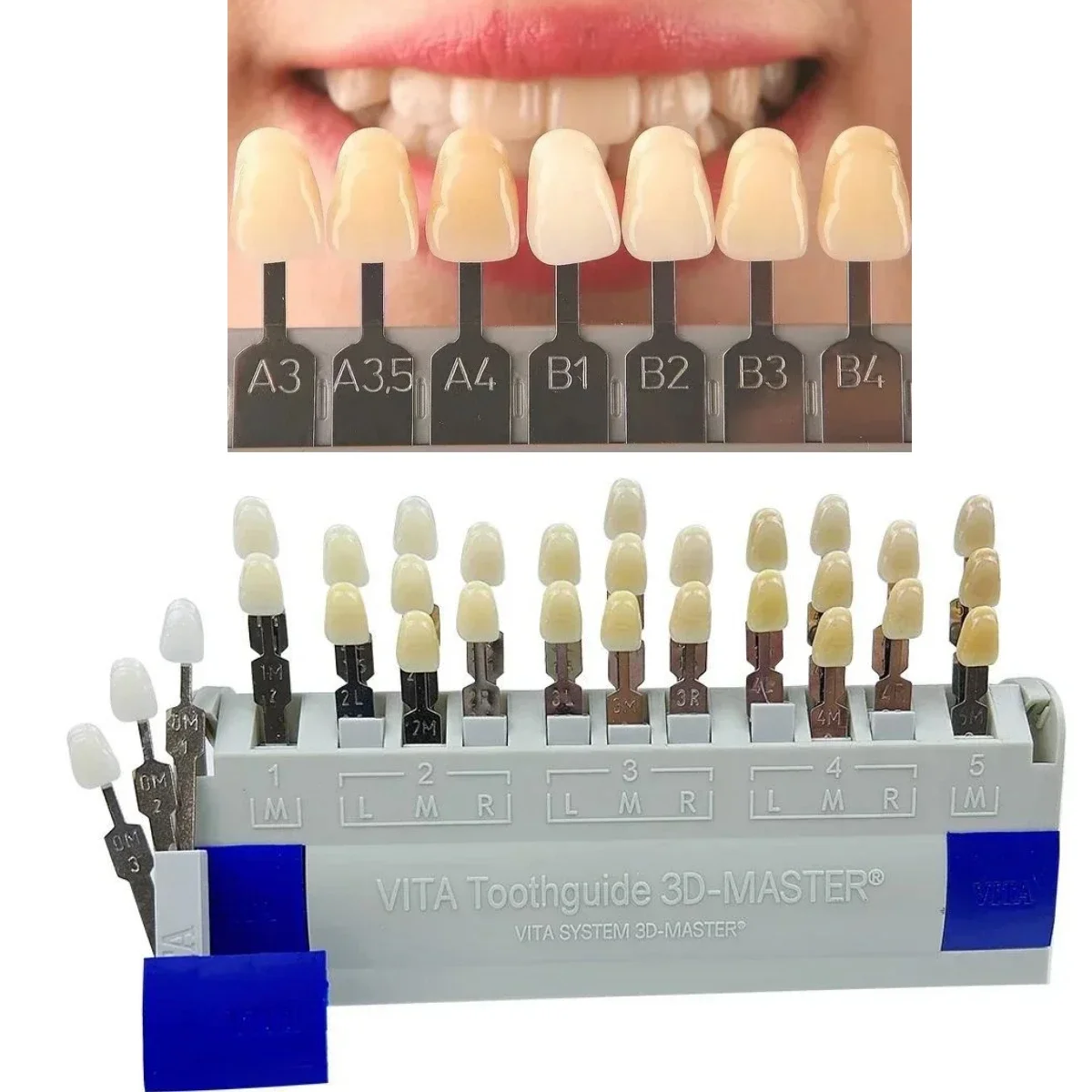 

Новый стоматологический цвет, 29 цветов, зубная гигиена VITA, 3D Master, цвет полости рта, полностью фарфоровые пластины для сравнения цветов