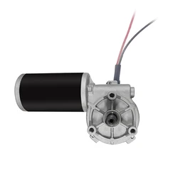 12 Volt 24V Small Size Forward and Reserve Low Speed Electric Brushed Worm Gear Eletrical DC Motor