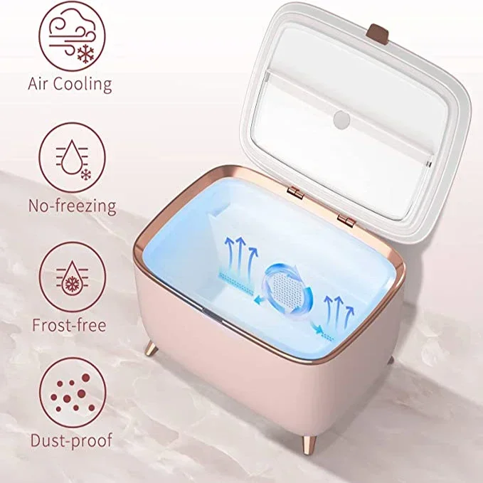 New Arrived 6L 9L Makeup Fridge  DC12V  AC  Small Refrigerator for Skin care Beauty Cosmetic Fridge Mini Refrigerator