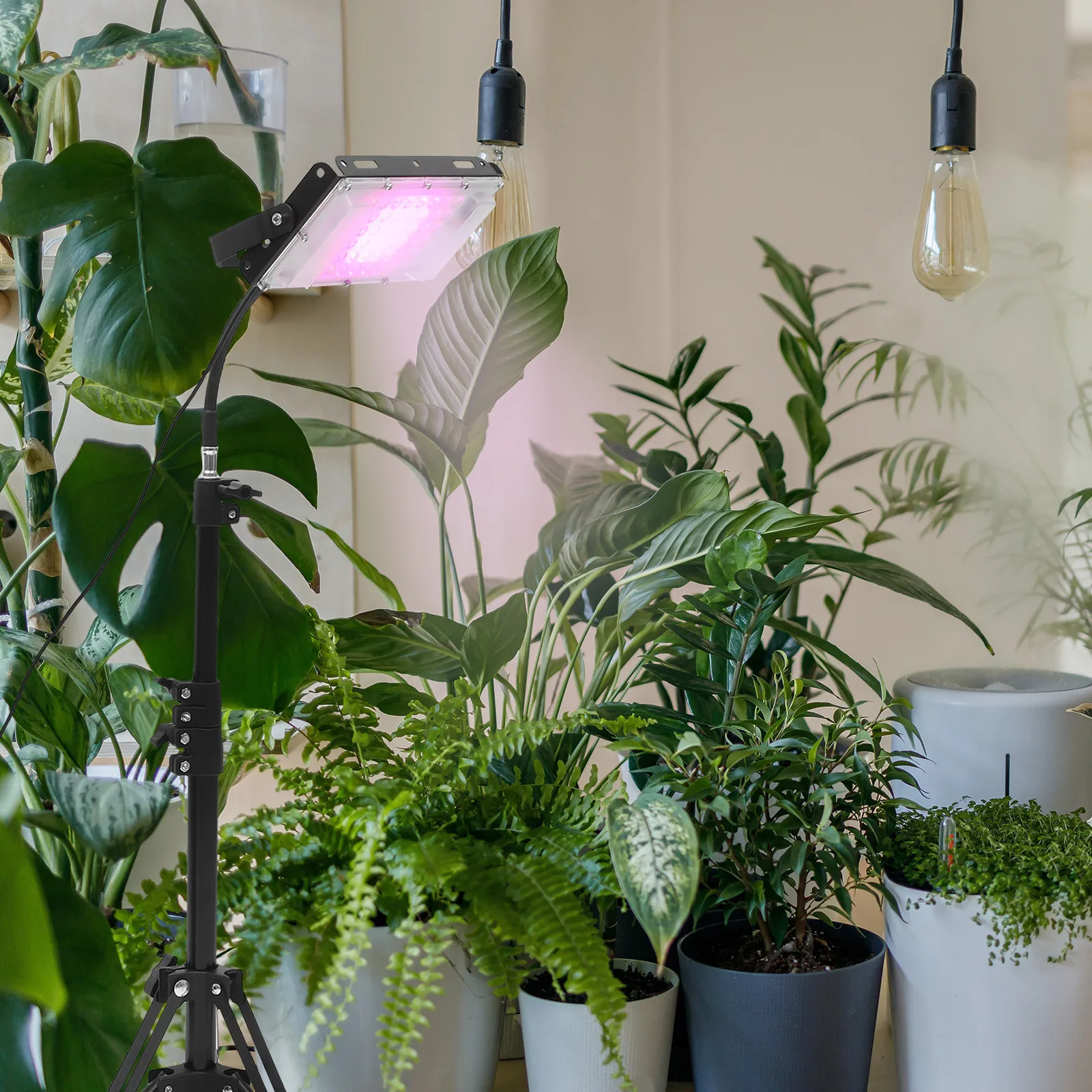 屋内植物育成ライトパネル温室ライト、ランプ育成用電球ledとして美しく、魅力的です。