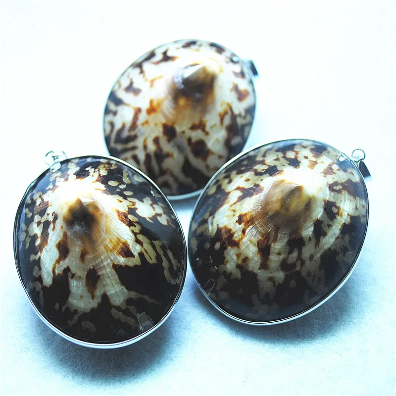 3PCS Saltwater Shell Pendants Big Shape 50MM Natural Mother Of Pearl For Women's Necklace Findings Free Shippings