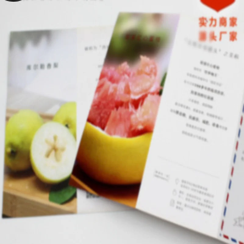 

Customized Cheap promotion flyer/leaflet printing
