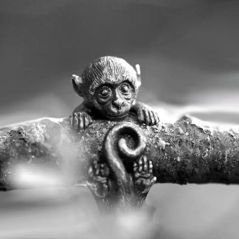 

Dark Wind Monkey Ring Exaggerated Street Hip Hop Personality Silver Plated Retro Vintage Long Tailed Monkey Ring Tail Ring