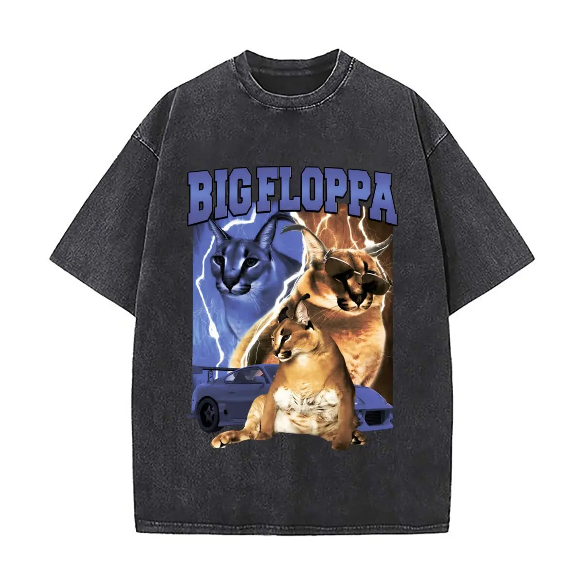 Big Floppa Car Lightning Cat Collage Graphic Distressed Faded Baggy Streetwear Tops for Park Hangouts