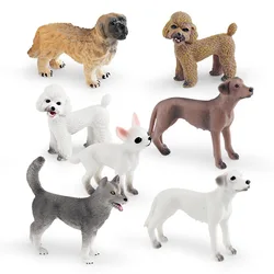 Cognitive Simulation Pet Dog, Animal Model, Pastoral Dog, Poodle, Chihuahua, Lion, Hunting, Static, Ornaments, Children's