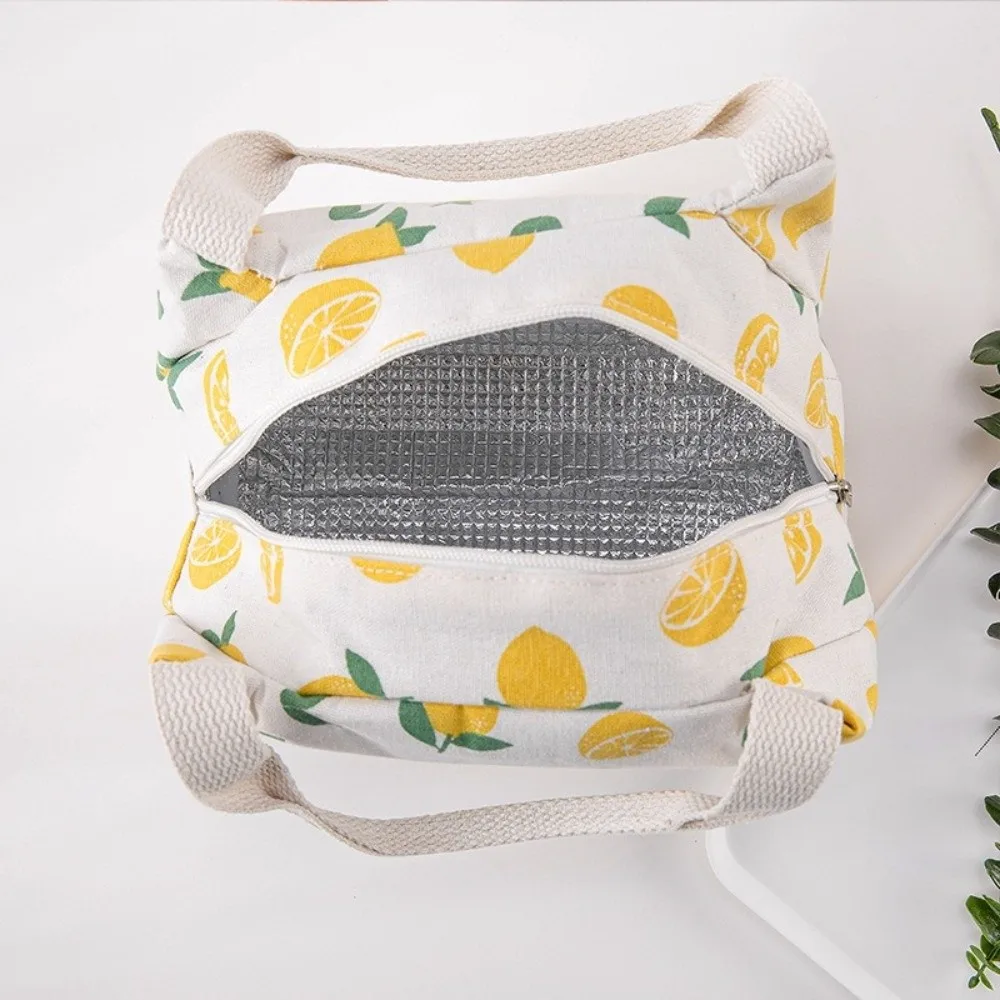 Gifts Cartoon Insulated Lunch Bag Fruit Printed Leakproof Thermal Food Pouch Waterproof Multi-functional Food Container Bag