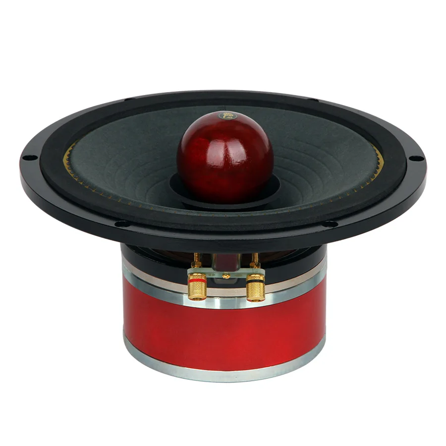 LII AUDIO 10 Inch Cobalt Magnetic Full Frequency MUSIC-10 Alnico Full Range Speaker Power 20-50W Sensitivity 94.7dB（1PCS）