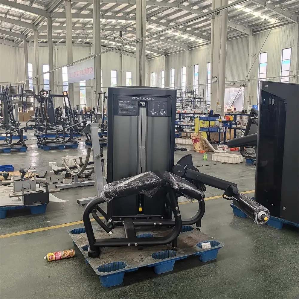 

l Продажа по всему миру Новое поступление Станок для сгибания ног MND-FS01 Спортивная машина Коммерческое силовое оборудование для фитнеса