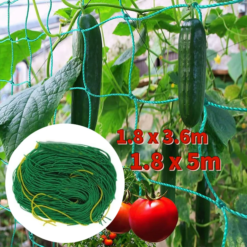 Climbing Rattan Net Green Gardening Lattice Net Wear-resistant Flower Vine Holder Mesh Heat-resistance for Cucumbers Watermelons