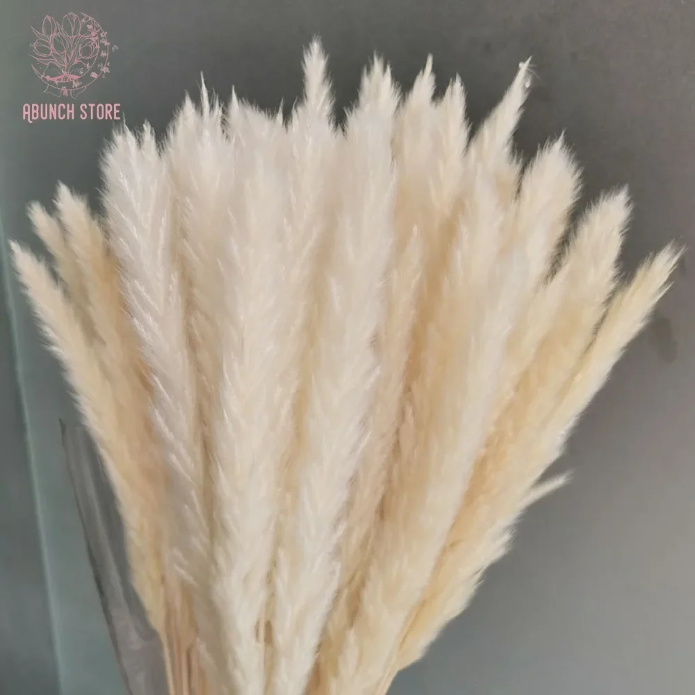 

Natural Bulrush Dried Pampas Flower Bunch Wedding Decoration Phragmites Real Plant Reed Grass Artificial Flower Home Table Decor