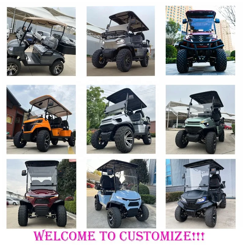 China 2 4 6 Seater 72V Lithium Electric Golf Cart Car for Sale