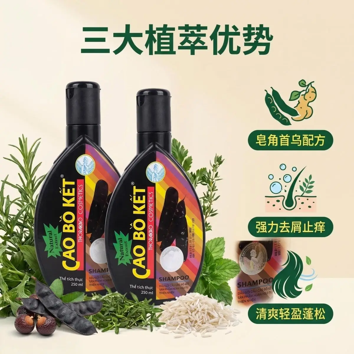 Oil Control Viet Thorakao 250ml – Soapberry & Herb Blend, Reduces Grease & Adds Bounce, For Oily Scalp, Light Fluid