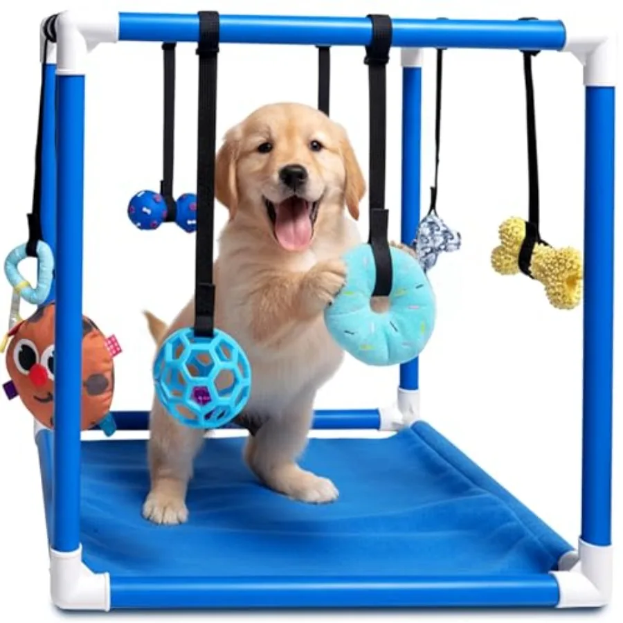 

Крытый игровой тренажерный зал для щенков с 8 ремнями для банджи Синяя спортивная рамка для джунглей 19,5 Интерактивный центр активности для маленьких собак в помещении Enrichm