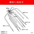 CL13  11 heads