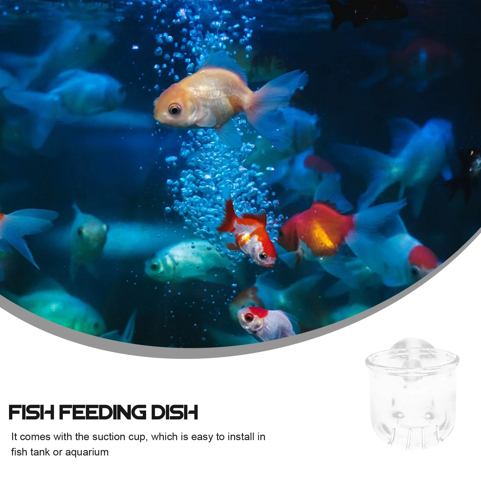 

2Pcs Glass Feeding Cup Fish Feeder Clear Dishes Tray Aquatic Supplies Smooth Surface Glass Feeding Cup Fish Feeder
