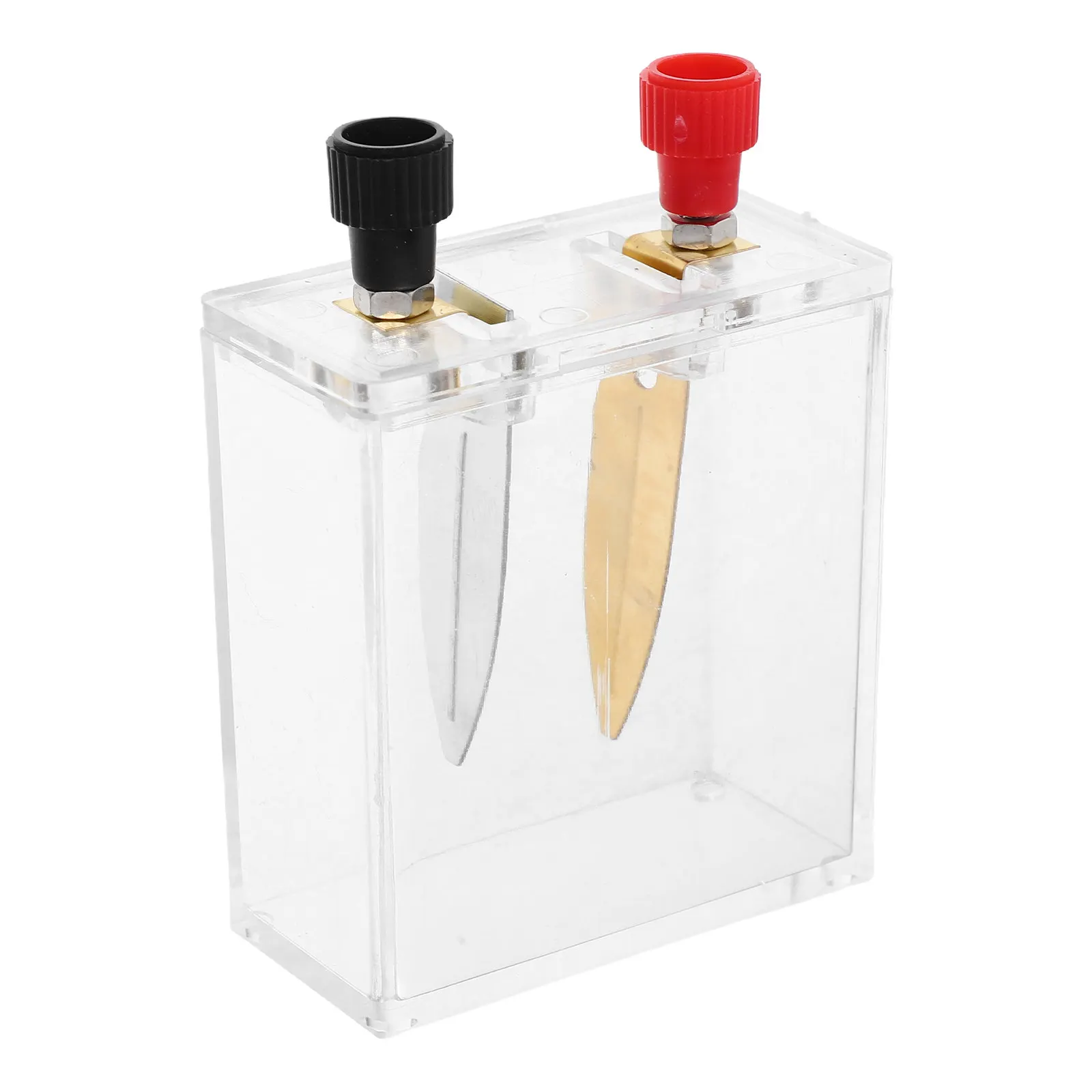 

Saltwater Experiment Kit Complete Science Education Kit Fruit Making Physics Experiment Demonstration