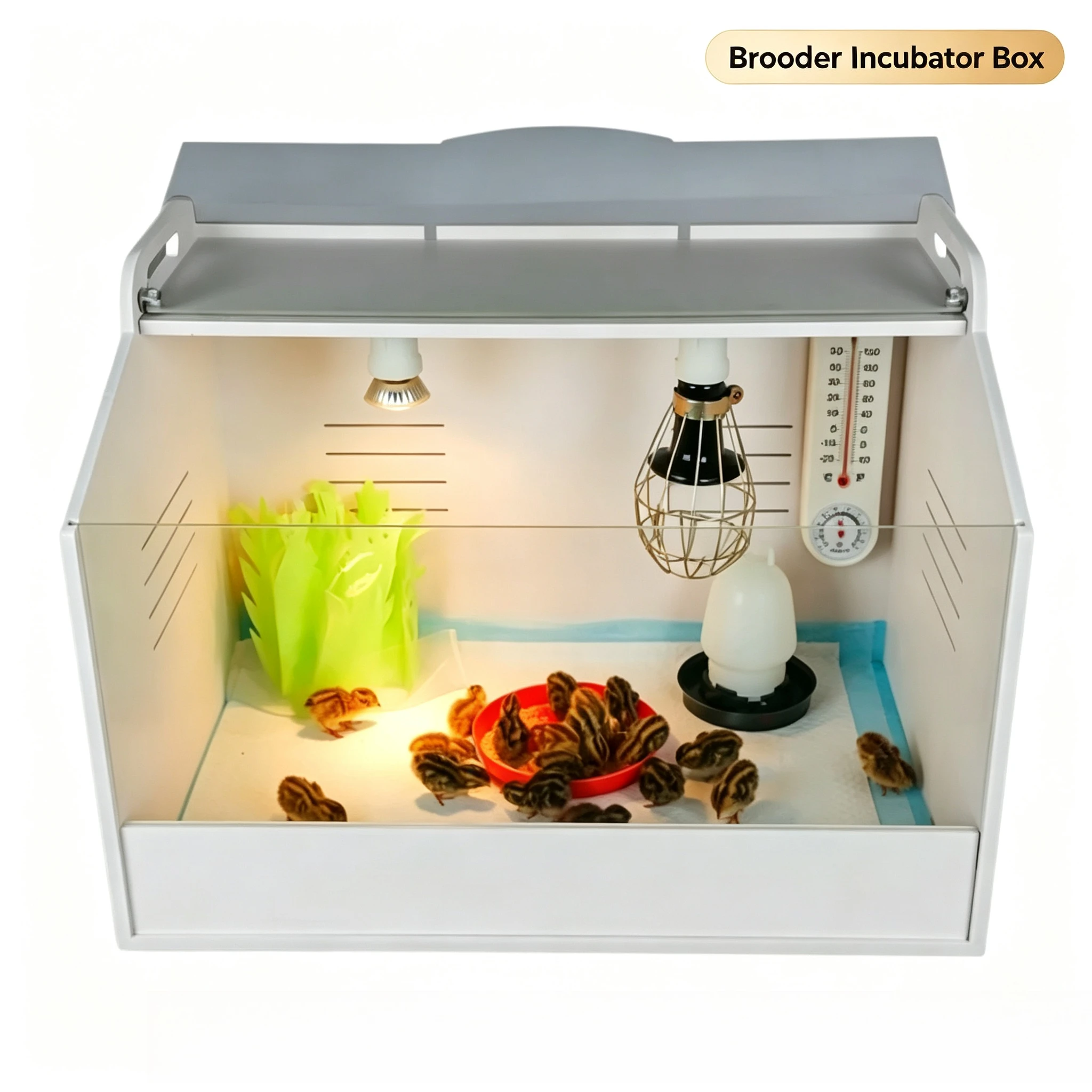 Transparent Constant Temperature Rutin Chicken Feeding Box Full Set DIY Small Poultry Breeding Raising Box