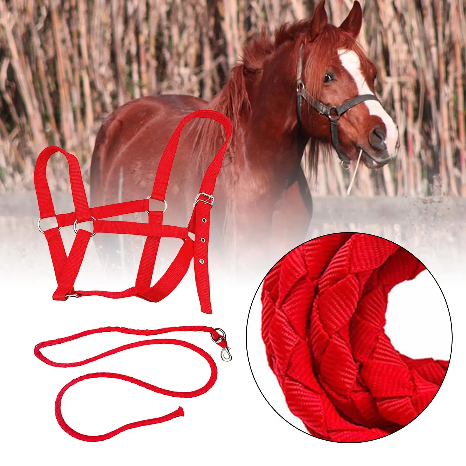 cabresto-para-cavalo-com-redea-de-oferta-acessorios-equestres-ajustaveis-para-transporte-passeio-competicao-adestramento-e-pastoreio