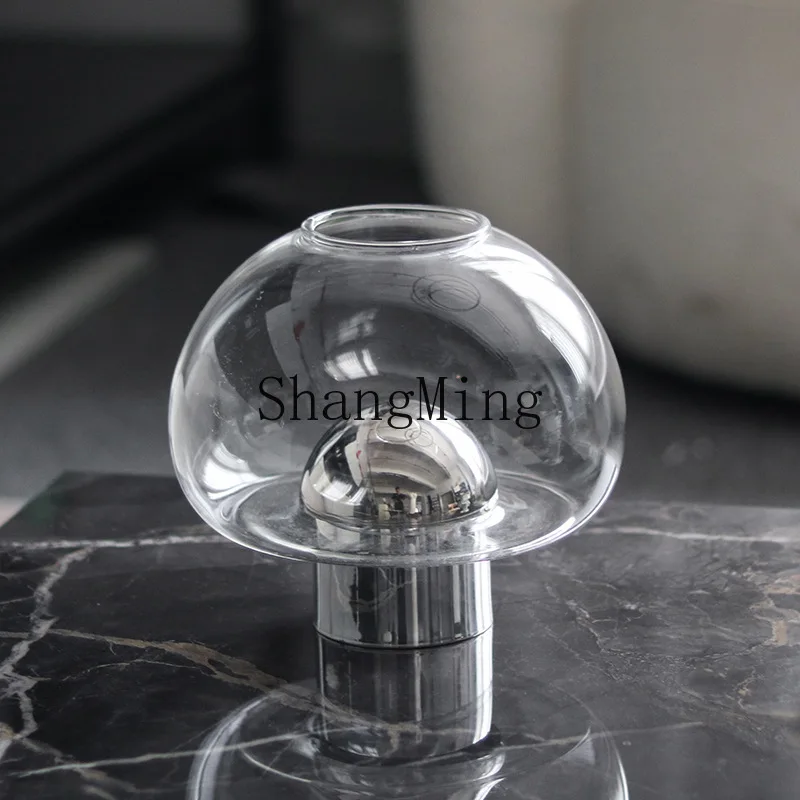 

DSA transparent glass big belly flower ornament modern simple front desk lobby home hydroponic vase jewelry