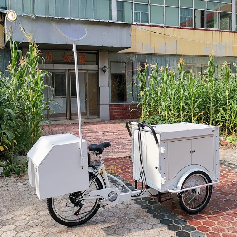 Electric tricycle night market mobile snacks street stall car folding flap upside down donkey human bicycle