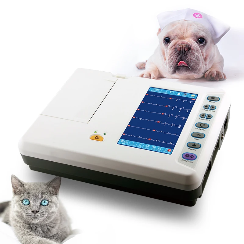 Digital Animal ECG Machine Ro-Chain Pet Hospital Veterinary ECG Machine 7 Inch Color Touch Screen Auto Analysis 7 Leads