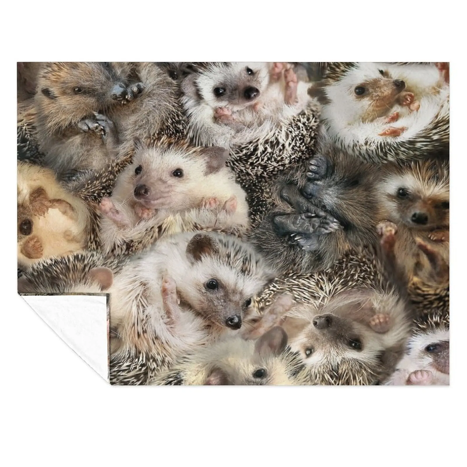 

Hedgehogs Throw Blanket Tourist Sofa Throw Plaid on the sofa Polar Blankets