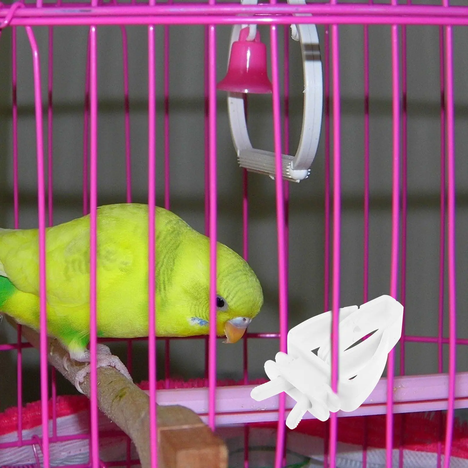 

Набор из 6 пластиковых клипс для кормления птиц в клетке: для фруктов, овощей, мяса. Безопасные, легко моются. Принадлежности для кормления.