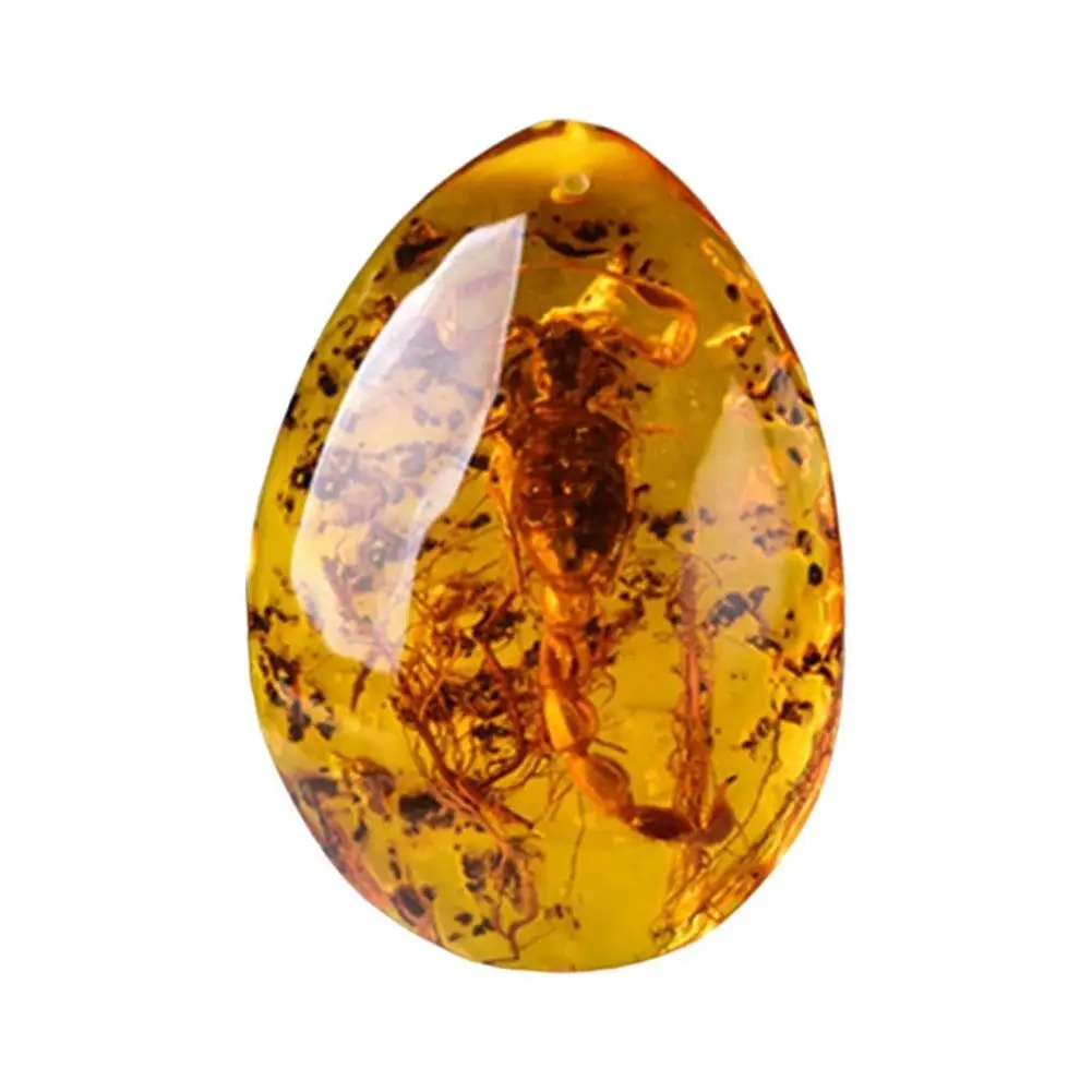 1 قطعة الحشرات العنبر الأحجار الكريمة العقرب الأحجار الكريمة الطبيعية والمعادن هدية ديكور المنزل DIY بها بنفسك الحشرات اليدوية الحرف الأحجار العنبر V1V1