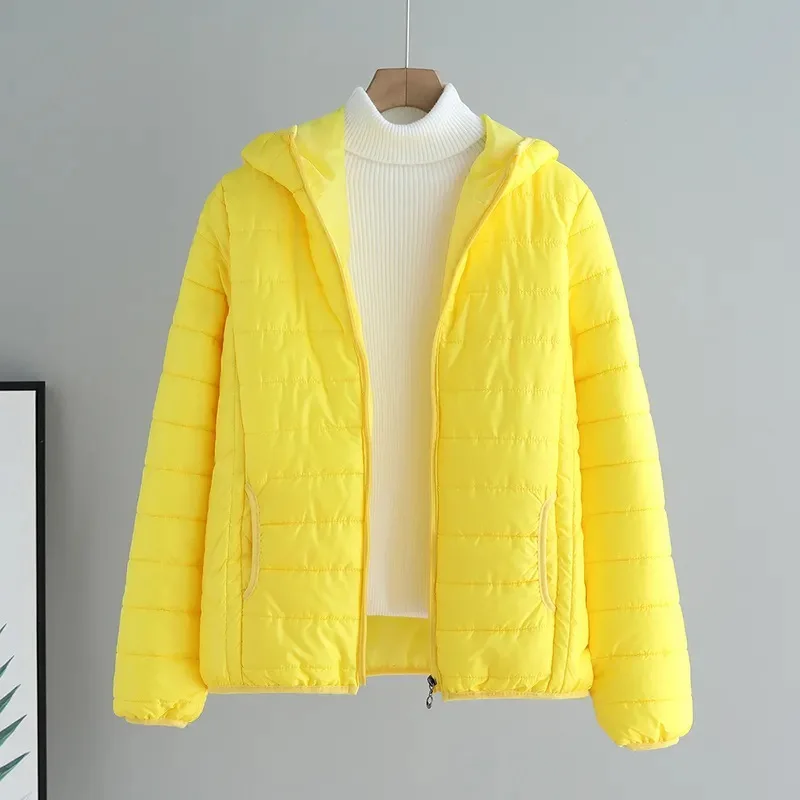 

2025 Autumn and Winter New Cotton Coat for Women Korean Short Style Slim Versatile Solid Color Thin Down
