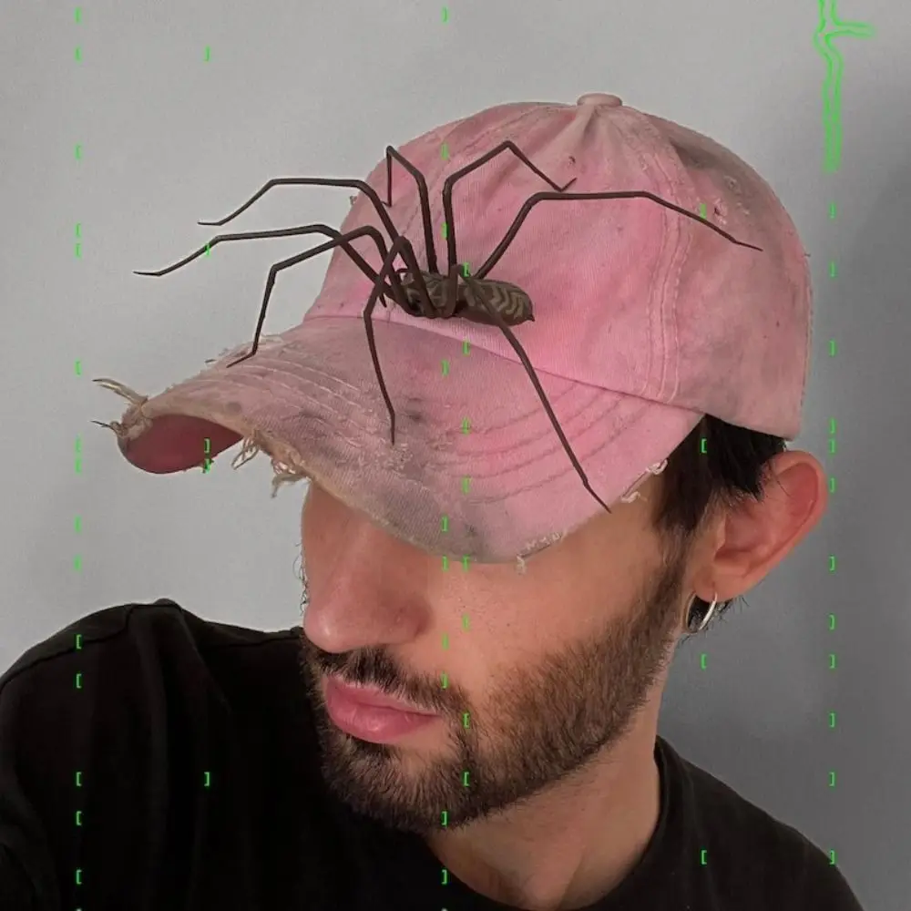 

Забавный аксессуар: магнитный паук-имитатор, 3D-дизайн, забавные пауки для декора, пластиковый животный паук для розыгрышей на 1 апреля