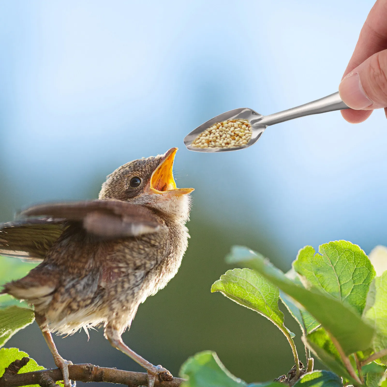 

15Pcs Pet Feeding Spoon Stainless Steel Hand Feeding Utensil Ergonomic Design Nursing Scoop for Parrots Birds Chicks and