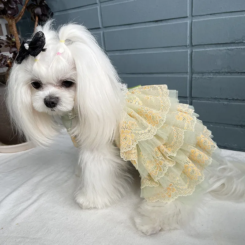 Pet Dog Cat Clothes Luxury Handmade Dog Wedding Dress Wizard of Oz Customizable Cat Dog Cake Dress for Teddy Pomeranian Bicho