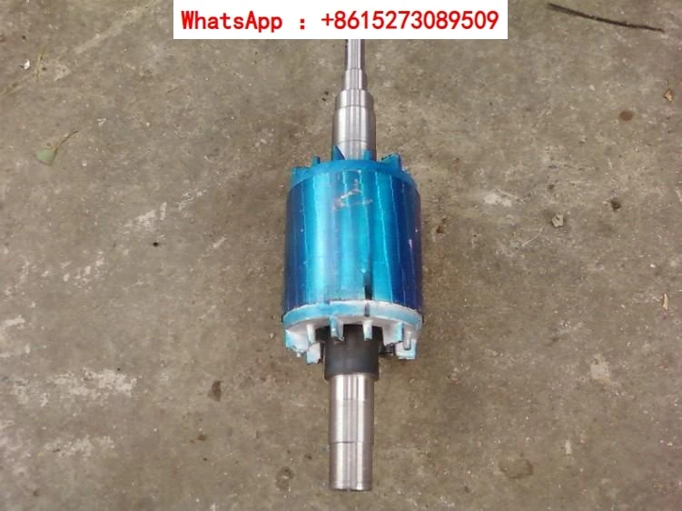 Cycloidal gear reducer motor accessories shaft rotor motor long shaft special