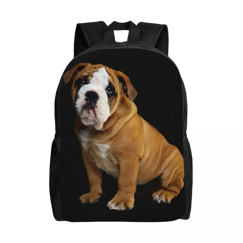 Customized English Bulldog Travel Backpack Women Men School Computer Bookbag College Student Daypack Bags