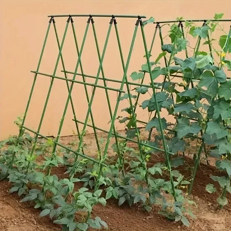 18pcs Plant Support Frames for Climbing Vegetables - Tomato Grape Cucumber Passion Fruit Vine Sticks - Garden Growth Aid