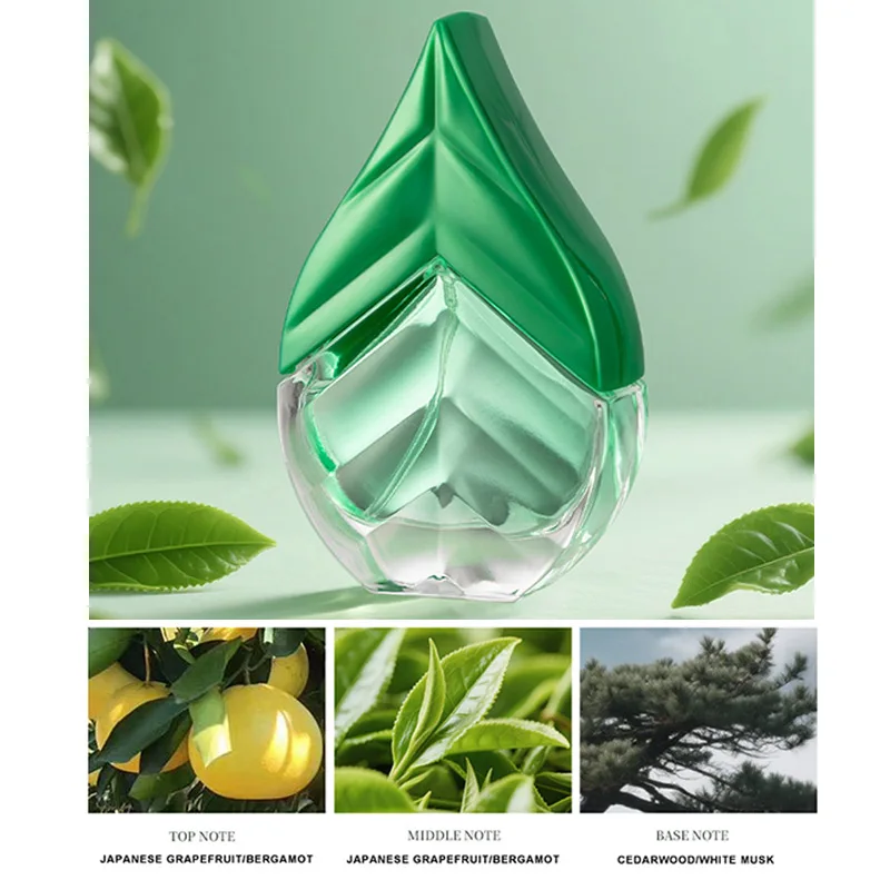 Spray de perfume de té negro y verde, aroma fresco y limpio para hombres y mujeres, arándamota/cedro/molde/grosella negra/pactouli/ niebla de fragancia ámbar