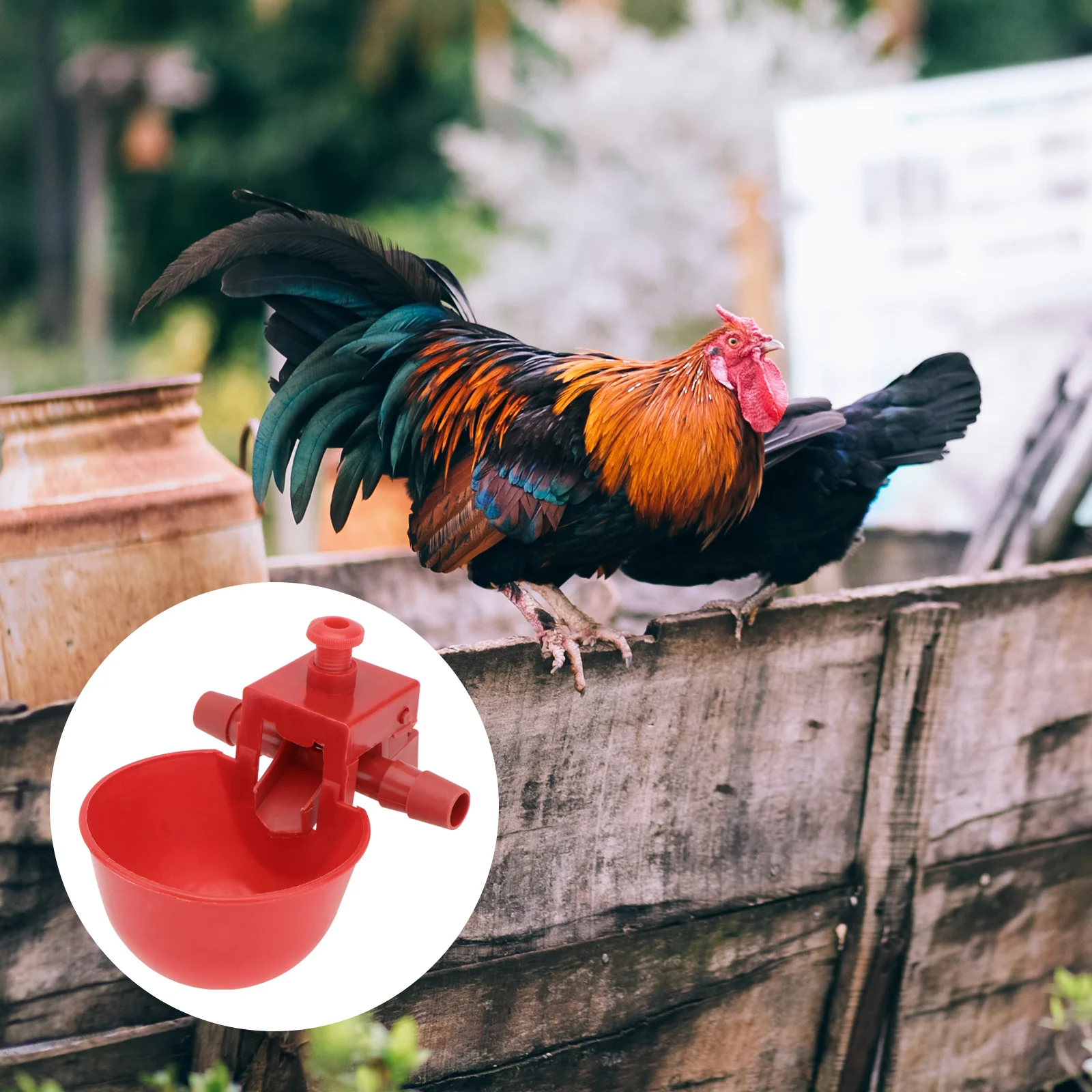 15 PCS Poultry Water Dispenser Quail Drinker Drinking Cups Automatic Waterer Red Chicken