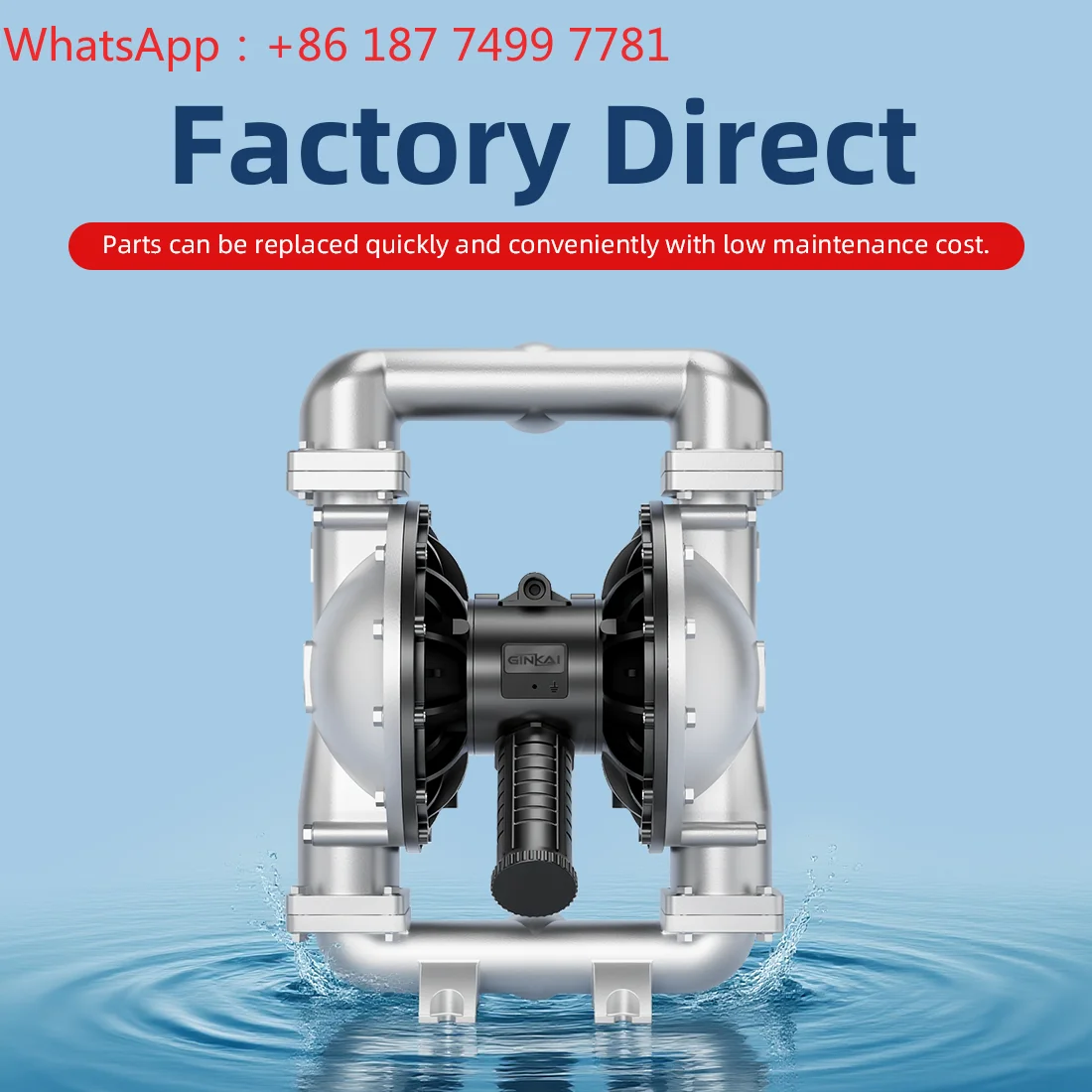 DN20 Polypropylene AODD Pump Optional PTFE Diaphragm Industrial Chemical Reagent Transfer Pump