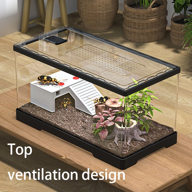 Reptile Reptile Acrylic Feeding Box Household Transparent Lizard Spider Snake Display Tank Reptile Large Breeding Habitat view 6