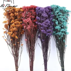 Natural Dried Preserved Eternal Millet Flowers Real Rice Flower Arrangement Flores Bouquet Home House Country Wedding Decoration