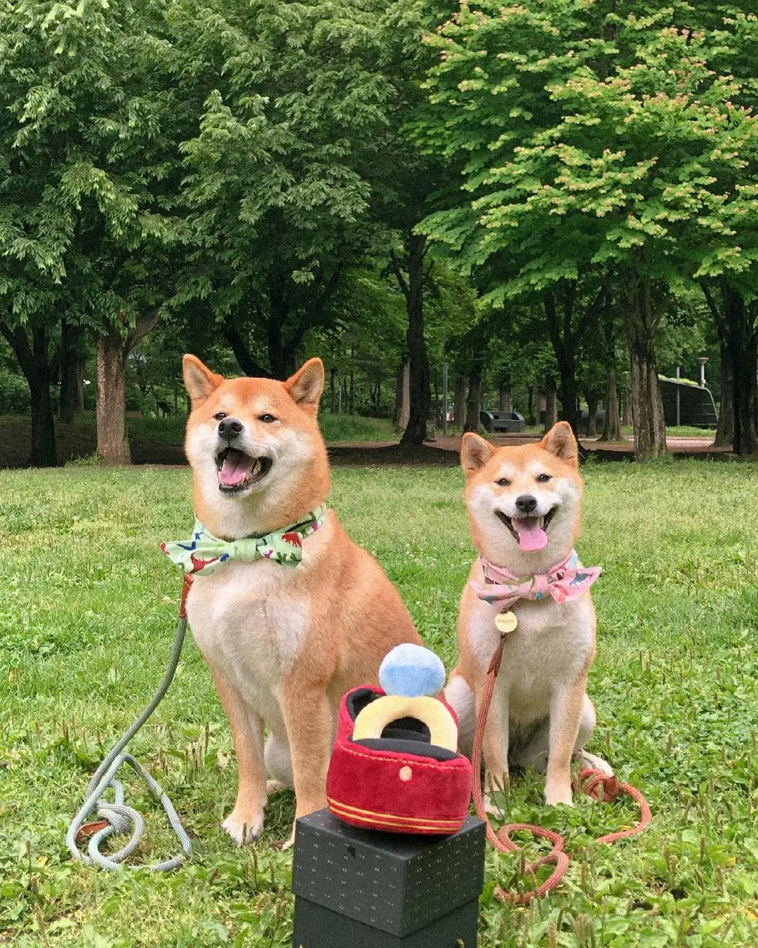 

Pet Wedding Gift - Diamond Ring Set Dogs Hide Food Whistling Toy