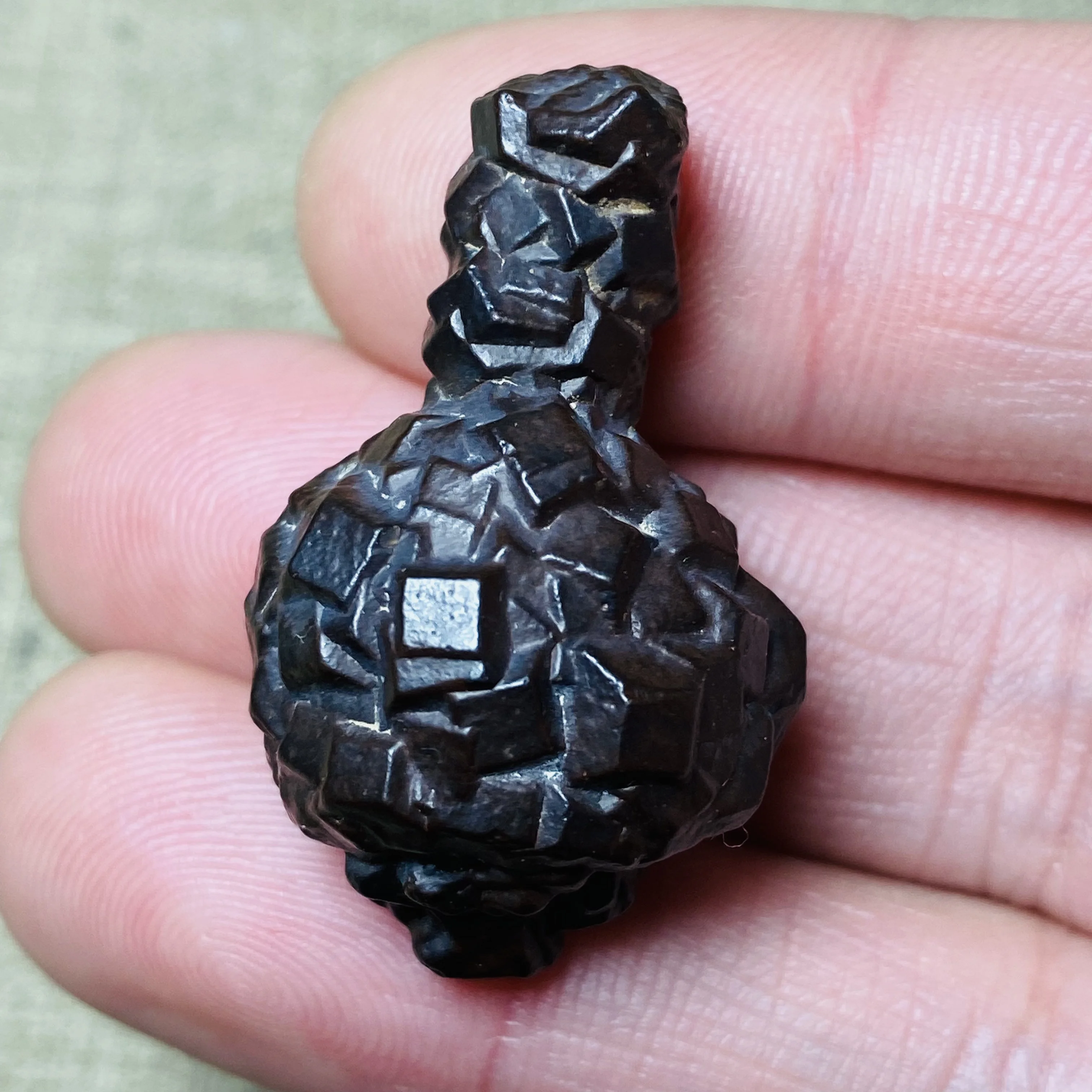 Natural Black Palm Stone Raw Mineral Specimen Reiki Healing Crystal for Meditation Energy Balancing Unique Collection Gift