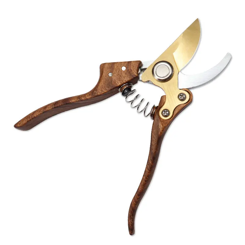 

Gold Plated Scissors for Gardening and Pruning Fruit Thinning and Picking Garden Coarse Branch Scissors