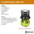 Mini version