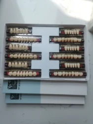 50 boxes Dental Acrylic Resin Teeth Denture Teeth Artificial Teeth