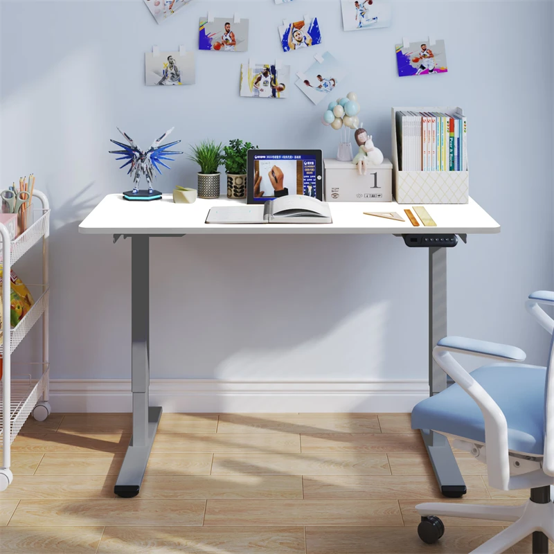 

Electric Standing Desk Adjustable Height Desk Home Office Computer Workstation Sit Stand up Desk,Dual Motor 48 x 24 inches
