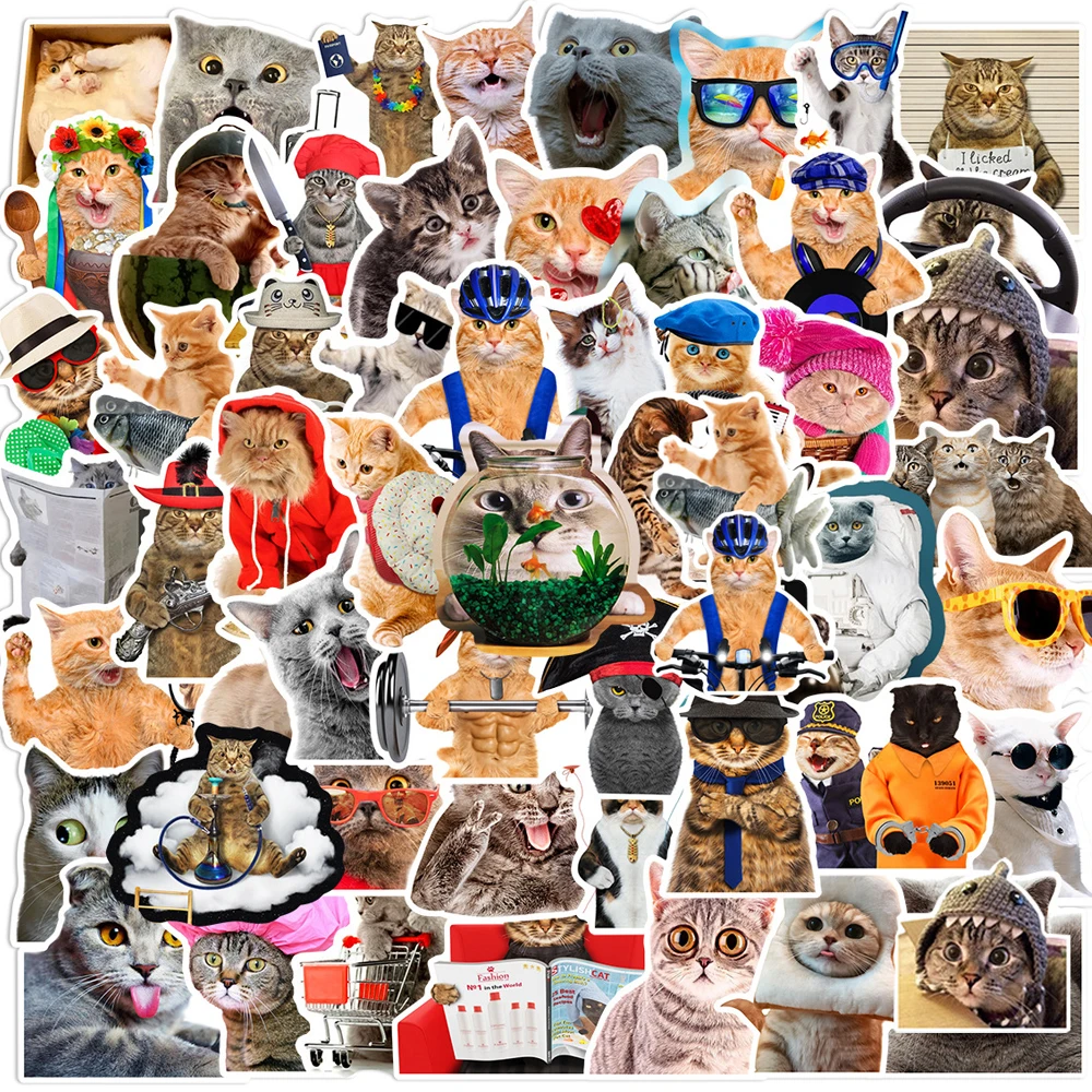 10/30/66pcs Kawaii Meme Cat Cartoon Stickers Cute Animal Decals Kids Toy Scrapbook Laptop Stationary Guitar Suitcase Car Sticker