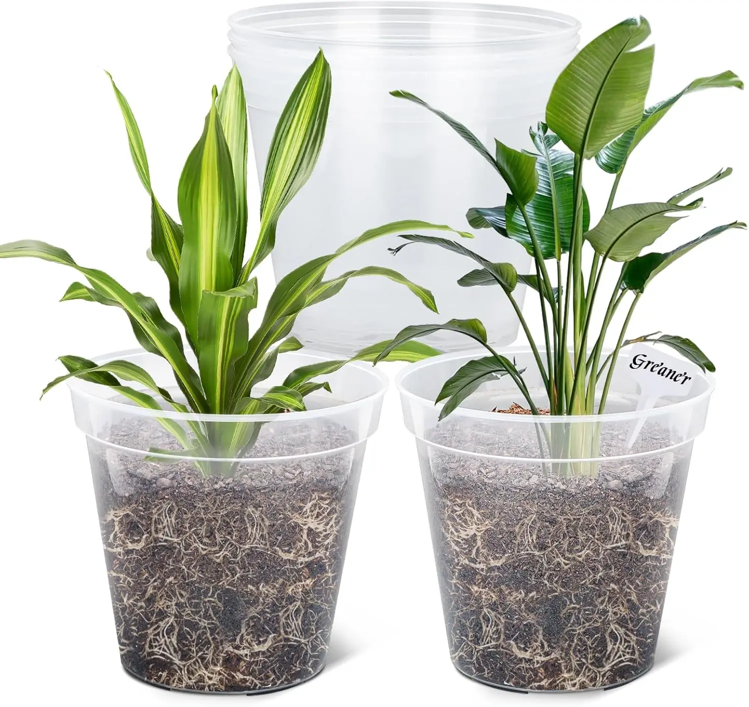 

Clear Plastic Plant Pots with Drainage Holes, 12 Inch Pack of 5 Includes 20 Plant Labels for Indoor Outdoor Gardening