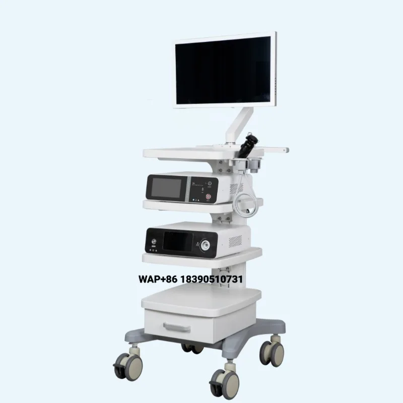 Pet hospital 24 inch high definition veterinary endoscope imaging system for animal diagnosis